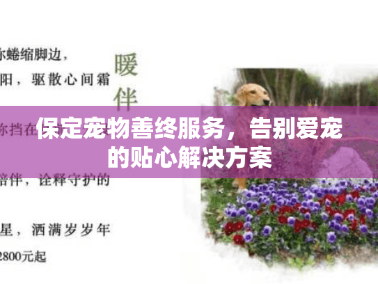 保定宠物善终服务，告别爱宠的贴心解决方案