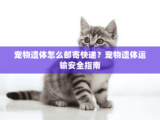 宠物遗体怎么邮寄快递?宠物遗体运输安全指南 宠物遗体怎么邮寄快递?宠物遗体运输安全指南