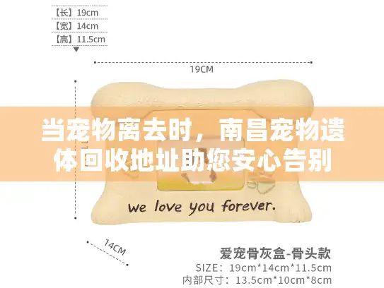 当宠物离去时,南昌宠物遗体回收地址助您安心告别 当宠物离去时,南昌宠物遗体回收地址助您安心告别