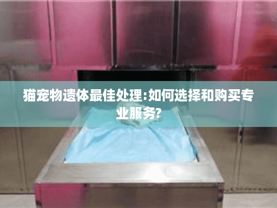 猫宠物遗体最佳处理:如何选择和购买专业服务?