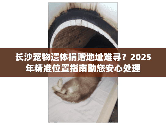 长沙宠物遗体捐赠地址难寻?2025年精准位置指南助您安心处理 长沙宠物遗体捐赠地址难寻?2025年精准位置指南助您安心处理