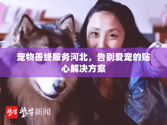 宠物善终服务河北，告别爱宠的贴心解决方案