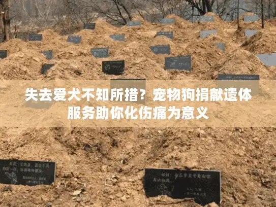 失去爱犬不知所措?宠物狗捐献遗体服务助你化伤痛为意义 失去爱犬不知所措?宠物狗捐献遗体服务助你化伤痛为意义