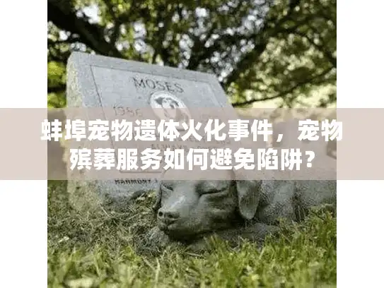 蚌埠宠物遗体火化事件，宠物殡葬服务如何避免陷阱？