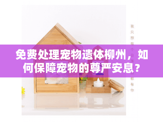 免费处理宠物遗体柳州，如何保障宠物的尊严安息？