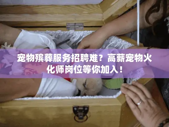 宠物殡葬服务招聘难？高薪宠物火化师岗位等你加入！