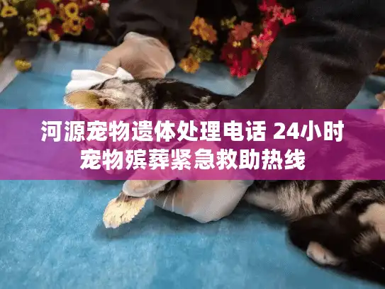 河源宠物遗体处理电话 24小时宠物殡葬紧急救助热线