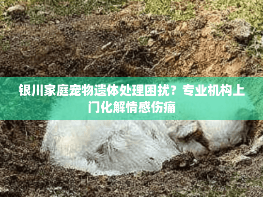 银川家庭宠物遗体处理困扰？专业机构上门化解情感伤痛