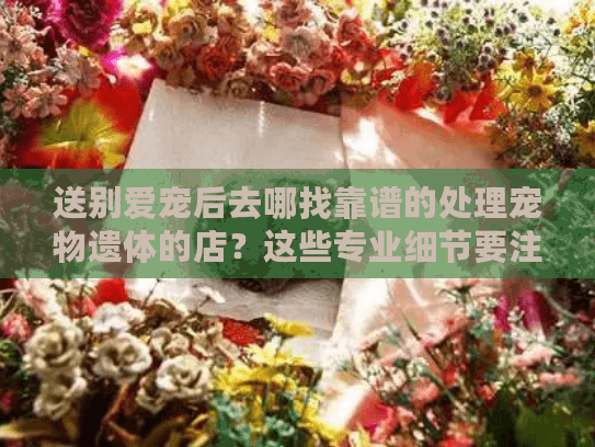 送别爱宠后去哪找靠谱的处理宠物遗体的店？这些专业细节要注意