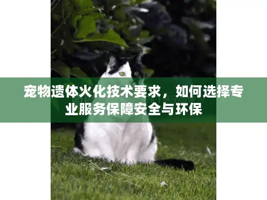 宠物遗体火化技术要求,如何选择专业服务保障安全与环保 宠物遗体火化技术要求,如何选择专业服务保障安全与环保