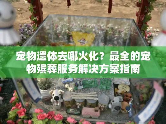 宠物遗体去哪火化？最全的宠物殡葬服务解决方案指南