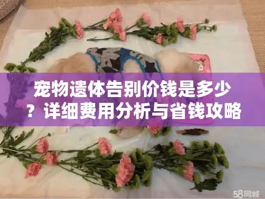 宠物遗体告别价钱是多少？详细费用分析与省钱攻略