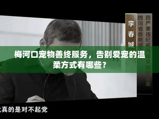 梅河口宠物善终服务，告别爱宠的温柔方式有哪些？