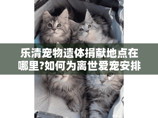 乐清宠物遗体捐献地点在哪里?如何为离世爱宠安排更有意义的告别?