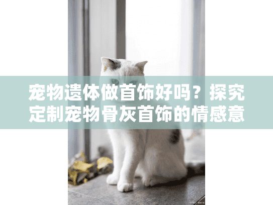 宠物遗体做首饰好吗？探究定制宠物骨灰首饰的情感意义与实际影响