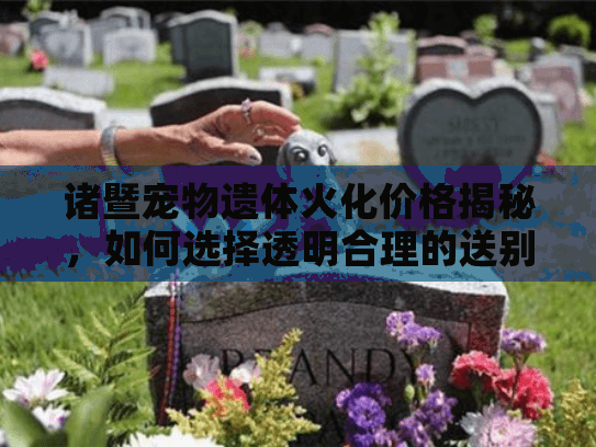 诸暨宠物遗体火化价格揭秘,如何选择透明合理的送别服务? 诸暨宠物遗体火化价格揭秘,如何选择透明合理的送别服务?