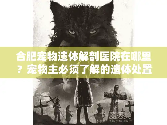 合肥宠物遗体解剖医院在哪里？宠物主必须了解的遗体处置指南