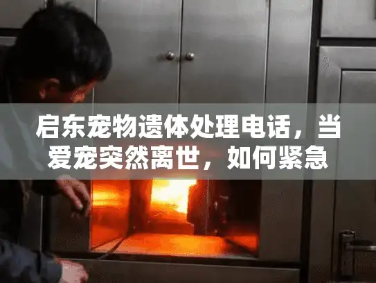 启东宠物遗体处理电话,当爱宠突然离世,如何紧急联系可靠服务? 启东宠物遗体处理电话,当爱宠突然离世,如何紧急联系可靠服务?