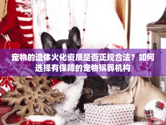 宠物的遗体火化资质是否正规合法？如何选择有保障的宠物殡葬机构