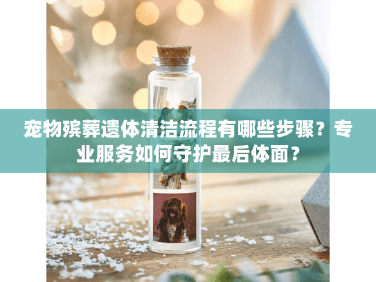 宠物殡葬遗体清洁流程有哪些步骤?专业服务如何守护最后体面? 宠物殡葬遗体清洁流程有哪些步骤?专业服务如何守护最后体面?