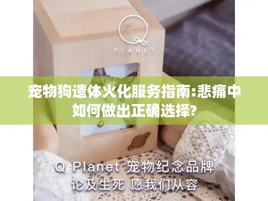 宠物狗遗体火化服务指南:悲痛中如何做出正确选择?