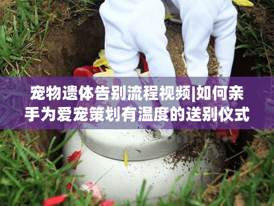 宠物遗体告别流程视频|如何亲手为爱宠策划有温度的送别仪式? 宠物遗体告别流程视频|如何亲手为爱宠策划有温度的送别仪式?