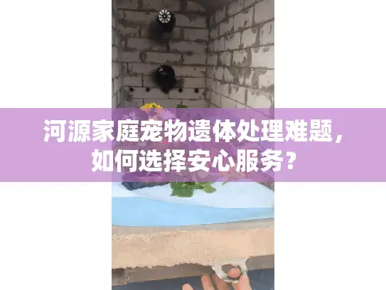 河源家庭宠物遗体处理难题，如何选择安心服务？