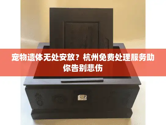 宠物遗体无处安放？杭州免费处理服务助你告别悲伤
