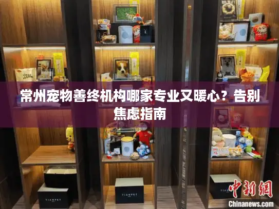 常州宠物善终机构哪家专业又暖心？告别焦虑指南