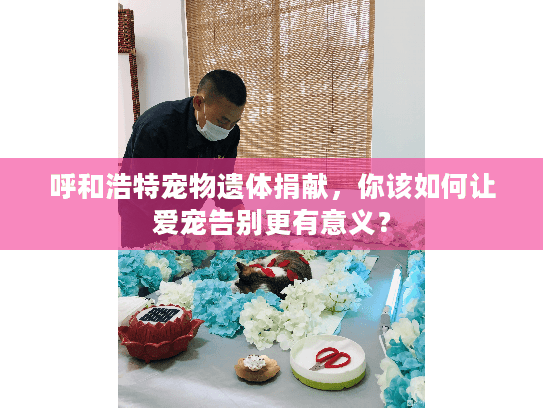 呼和浩特宠物遗体捐献，你该如何让爱宠告别更有意义？