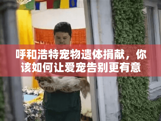 呼和浩特宠物遗体捐献，你该如何让爱宠告别更有意义？