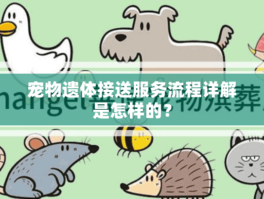宠物遗体接送服务流程详解是怎样的？