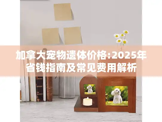 加拿大宠物遗体价格:2025年省钱指南及常见费用解析
