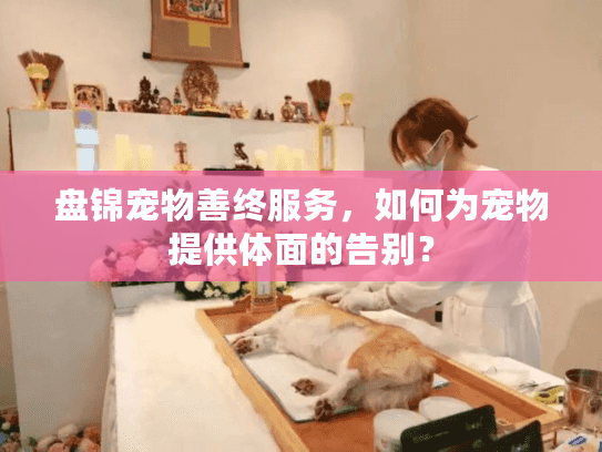 盘锦宠物善终服务，如何为宠物提供体面的告别？