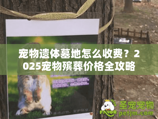 宠物遗体墓地怎么收费？2025宠物殡葬价格全攻略