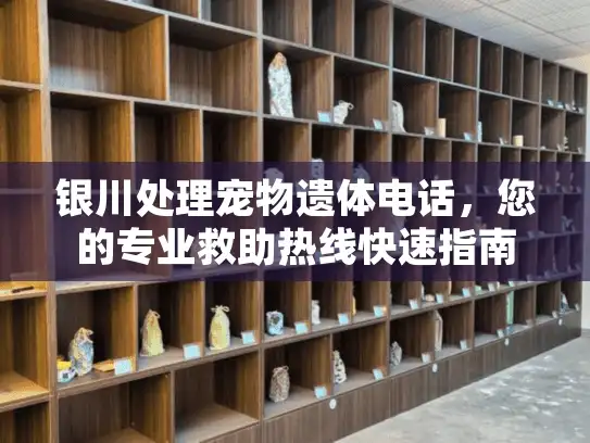 银川处理宠物遗体电话，您的专业救助热线快速指南