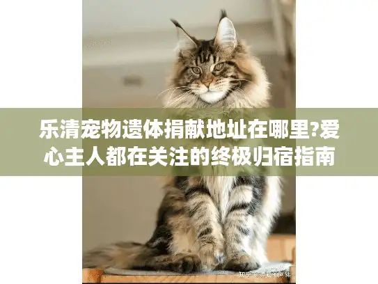 乐清宠物遗体捐献地址在哪里?爱心主人都在关注的终极归宿指南