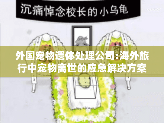 外国宠物遗体处理公司:海外旅行中宠物离世的应急解决方案 外国宠物遗体处理公司:海外旅行中宠物离世的应急解决方案