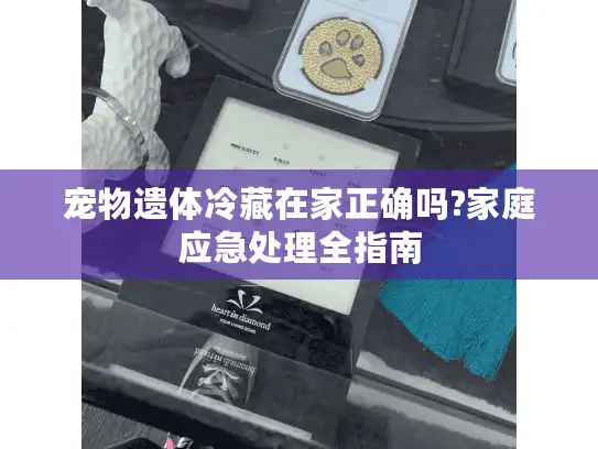 宠物遗体冷藏在家正确吗?家庭应急处理全指南