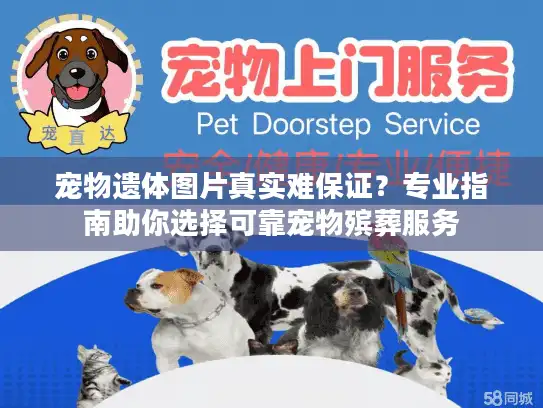 宠物遗体图片真实难保证?专业指南助你选择可靠宠物殡葬服务 宠物遗体图片真实难保证?专业指南助你选择可靠宠物殡葬服务