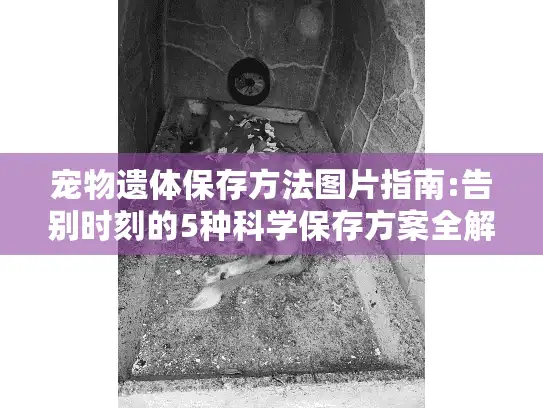 宠物遗体保存方法图片指南:告别时刻的5种科学保存方案全解析 宠物遗体保存方法图片指南:告别时刻的5种科学保存方案全解析