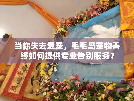 当你失去爱宠，毛毛岛宠物善终如何提供专业告别服务？