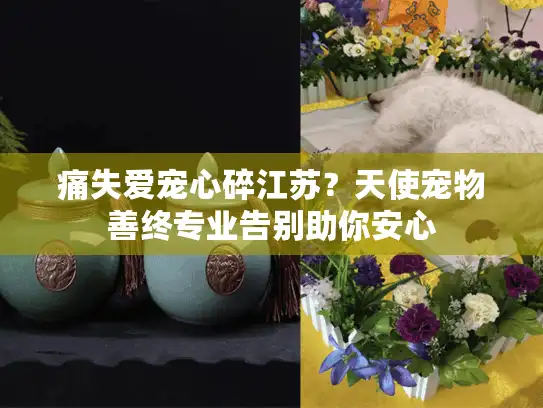 痛失爱宠心碎江苏？天使宠物善终专业告别助你安心
