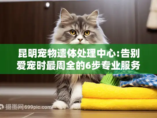 昆明宠物遗体处理中心:告别爱宠时最周全的6步专业服务