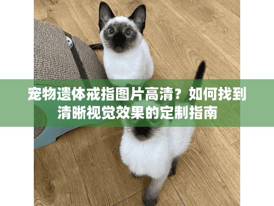 宠物遗体戒指图片高清？如何找到清晰视觉效果的定制指南