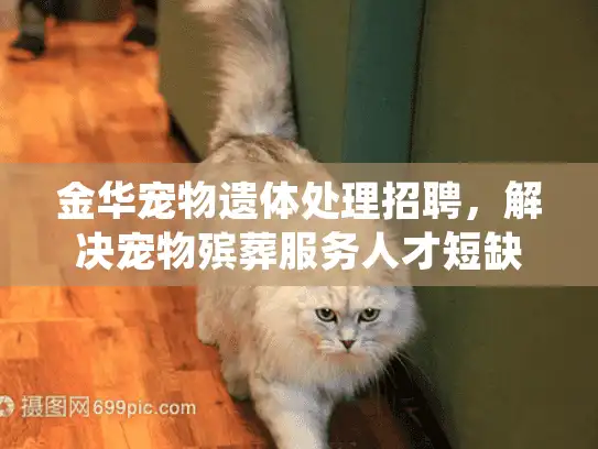 金华宠物遗体处理招聘，解决宠物殡葬服务人才短缺的实用指南