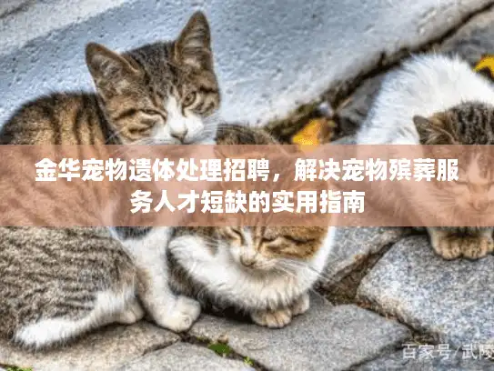 金华宠物遗体处理招聘，解决宠物殡葬服务人才短缺的实用指南