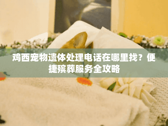 鸡西宠物遗体处理电话在哪里找？便捷殡葬服务全攻略