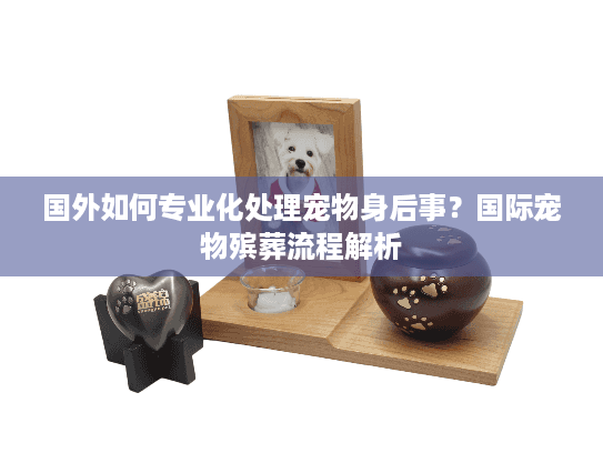 国外如何专业化处理宠物身后事？国际宠物殡葬流程解析