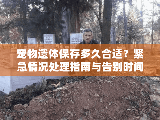 宠物遗体保存多久合适？紧急情况处理指南与告别时间建议